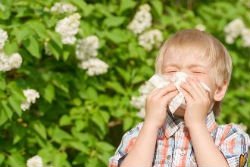Как помочь ребенку с аллергией на цветение насладиться летом? - 2. Проверьте количество пыльцы