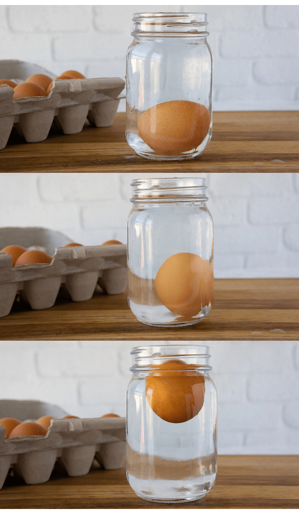 3 способа проверить свежесть яиц в вашем холодильнике  - 1. Почему и как работает поплавковый тест 