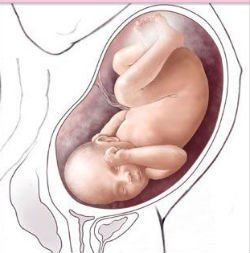 Предвестники родов - о чем необходимо знать будущей маме - Опущение живота